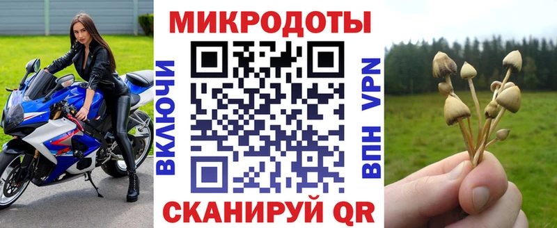 Псилоцибиновые грибы MAGIC MUSHROOMS  ссылка на мегу ССЫЛКА  Нюрба  магазин  наркотиков 